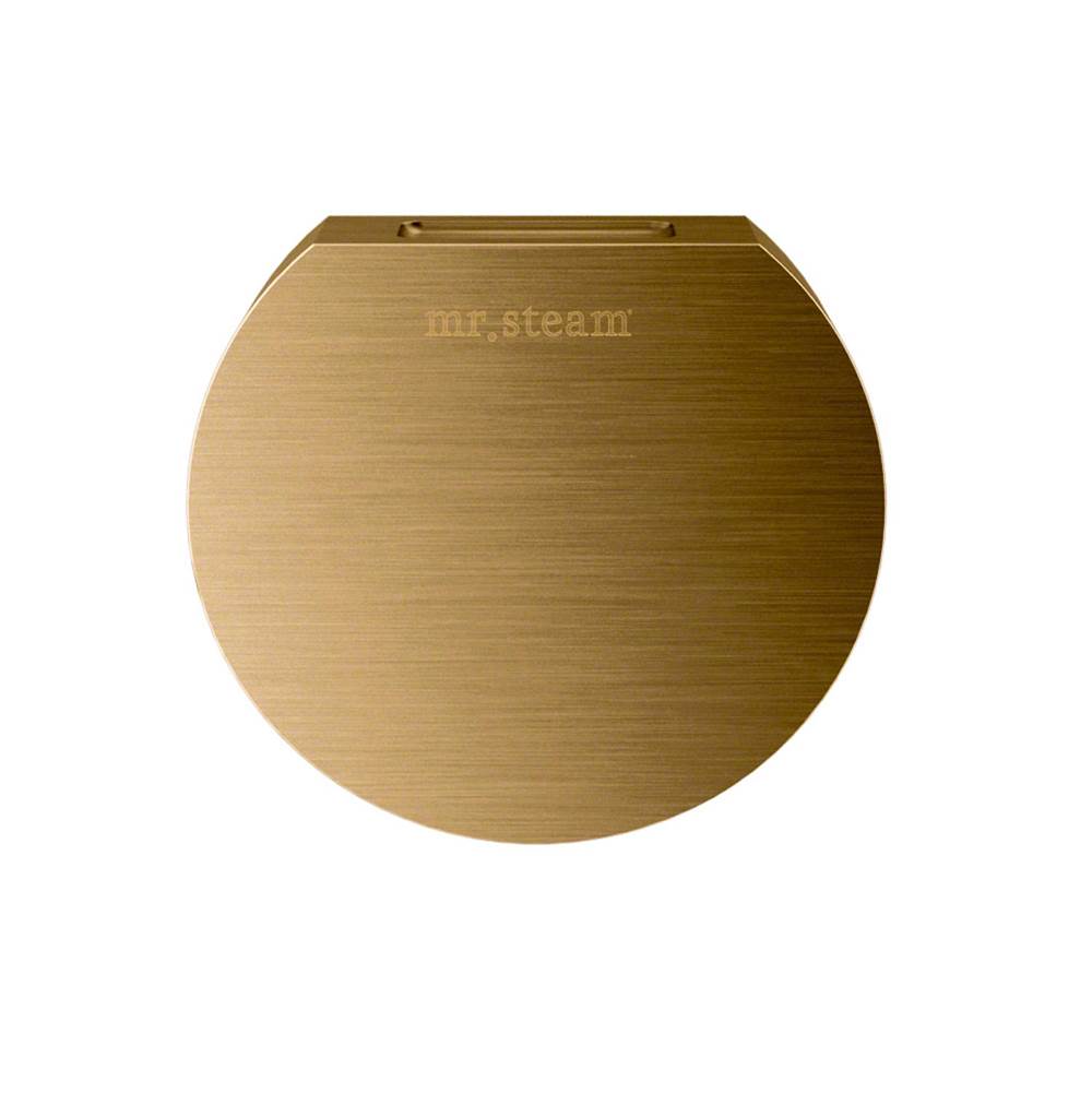Mr. Steam Aroma Designer 3 in. W. Steamhead with AromaTherapy Reservoir in Round Brushed Bronze