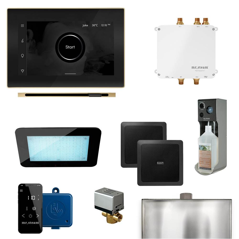 Mr. Steam Bliss Linear Programmable Steam Generator Control Kit with iSteamX Control and Linear Steamhead in Black Satin Brass