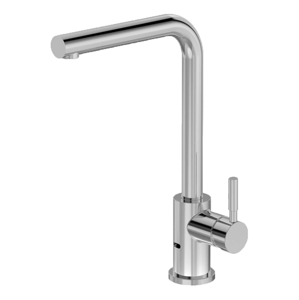Symmons DS Creations Kitchen Faucet